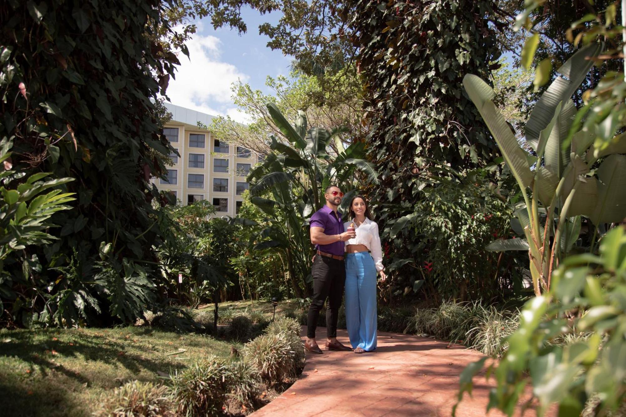 Hotel Barceló San José Exterior foto The Botanical Garden of the University of Patras
